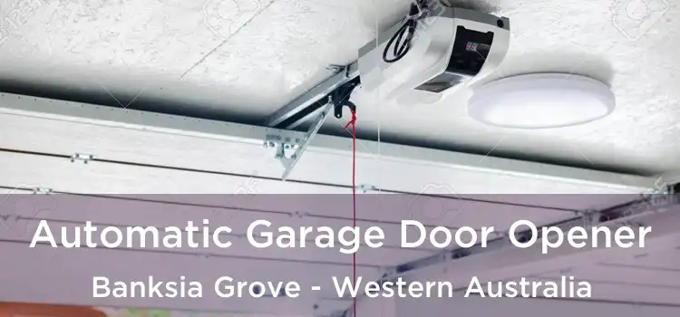 Automatic Garage Door Opener Banksia Grove - Western Australia