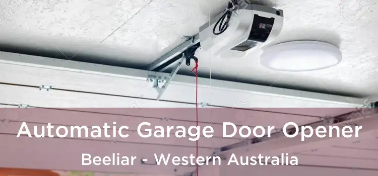 Automatic Garage Door Opener Beeliar - Western Australia