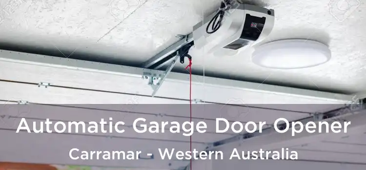 Automatic Garage Door Opener Carramar - Western Australia