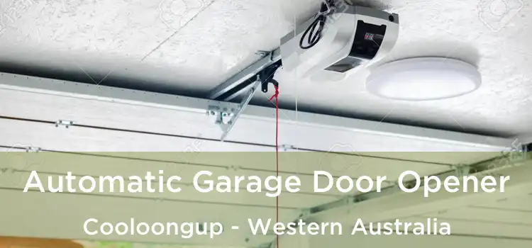 Automatic Garage Door Opener Cooloongup - Western Australia