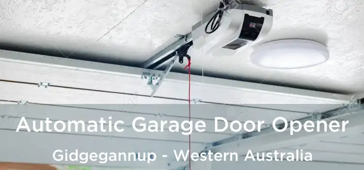 Automatic Garage Door Opener Gidgegannup - Western Australia