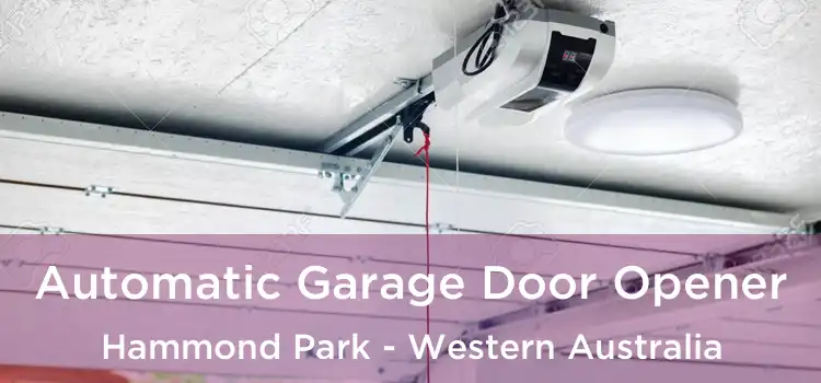 Automatic Garage Door Opener Hammond Park - Western Australia
