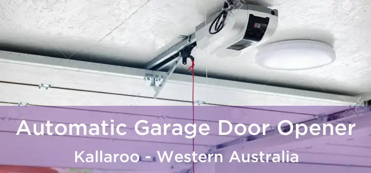 Automatic Garage Door Opener Kallaroo - Western Australia