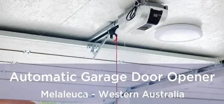 Automatic Garage Door Opener Melaleuca - Western Australia