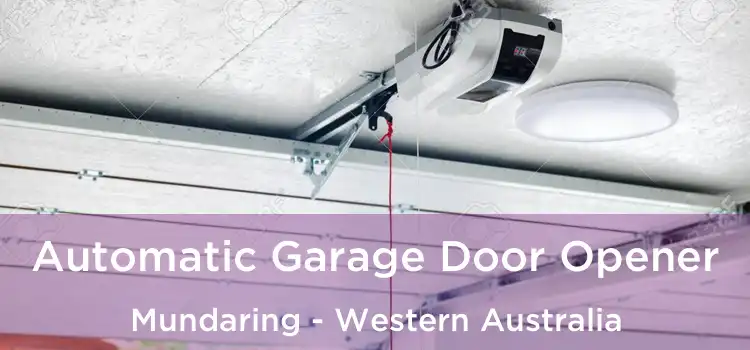 Automatic Garage Door Opener Mundaring - Western Australia