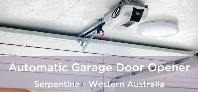 Automatic Garage Door Opener Serpentine - Western Australia