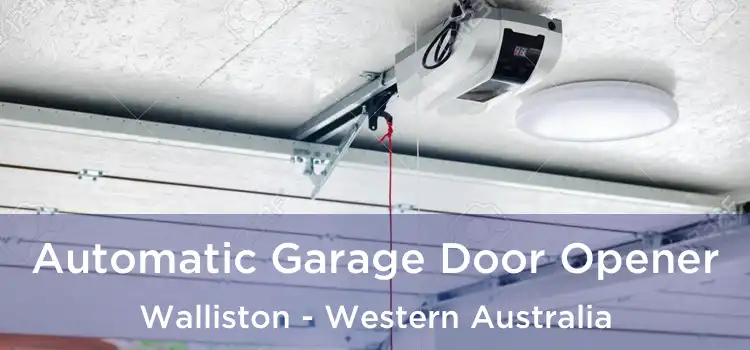 Automatic Garage Door Opener Walliston - Western Australia