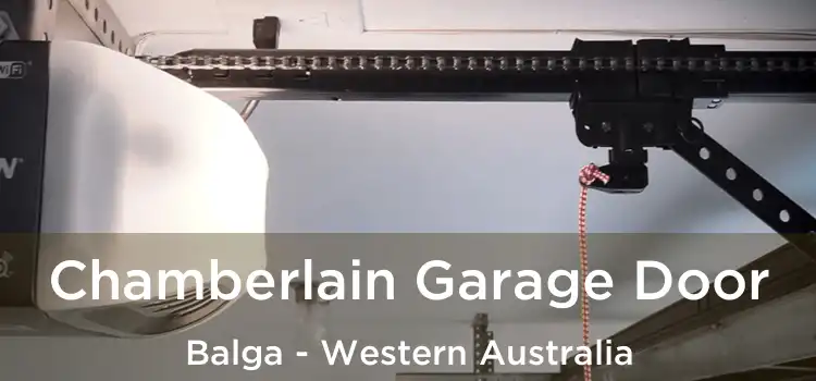 Chamberlain Garage Door Balga - Western Australia