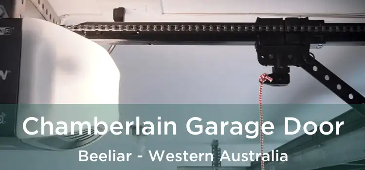 Chamberlain Garage Door Beeliar - Western Australia