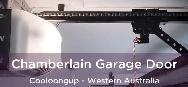 Chamberlain Garage Door Cooloongup - Western Australia