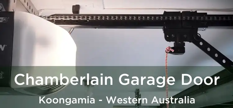Chamberlain Garage Door Koongamia - Western Australia