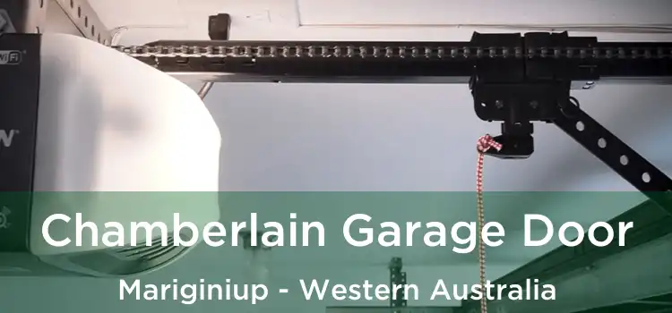 Chamberlain Garage Door Mariginiup - Western Australia