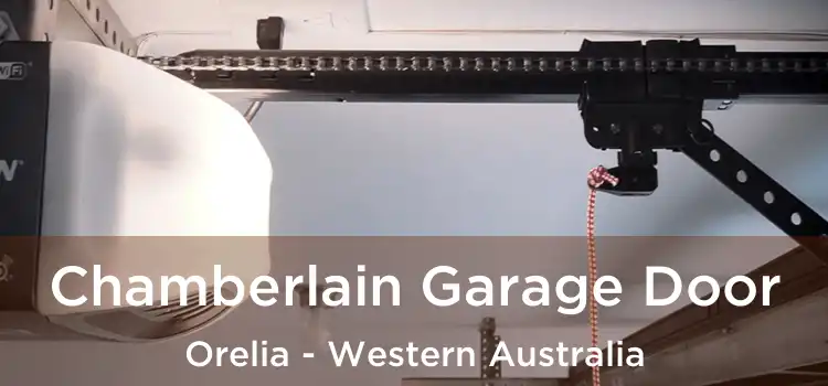 Chamberlain Garage Door Orelia - Western Australia