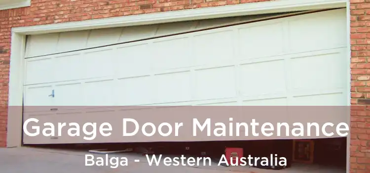 Garage Door Maintenance Balga - Western Australia