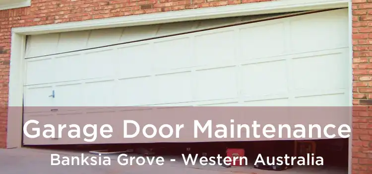Garage Door Maintenance Banksia Grove - Western Australia