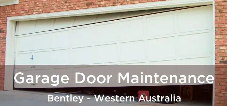 Garage Door Maintenance Bentley - Western Australia