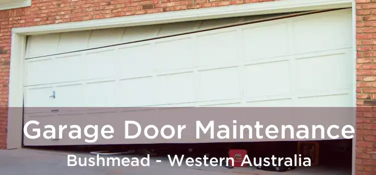 Garage Door Maintenance Bushmead - Western Australia