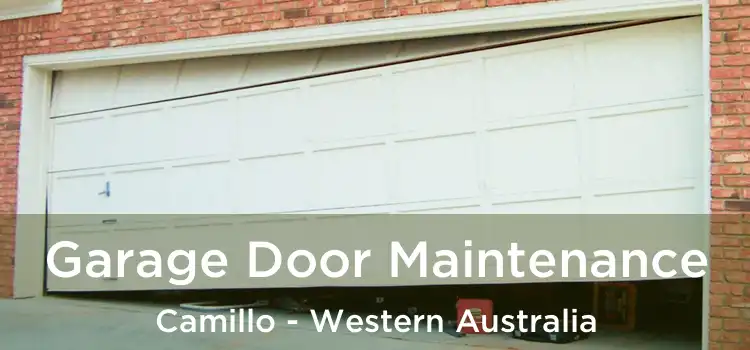 Garage Door Maintenance Camillo - Western Australia