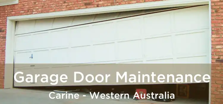 Garage Door Maintenance Carine - Western Australia
