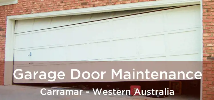 Garage Door Maintenance Carramar - Western Australia