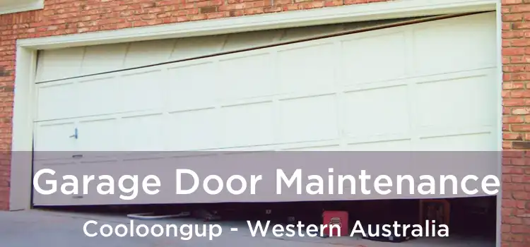 Garage Door Maintenance Cooloongup - Western Australia