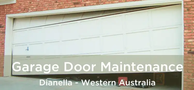 Garage Door Maintenance Dianella - Western Australia