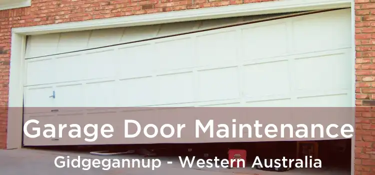 Garage Door Maintenance Gidgegannup - Western Australia