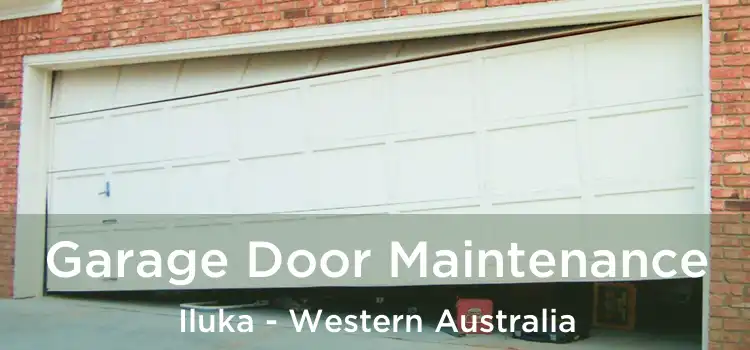 Garage Door Maintenance Iluka - Western Australia