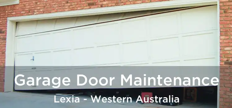 Garage Door Maintenance Lexia - Western Australia