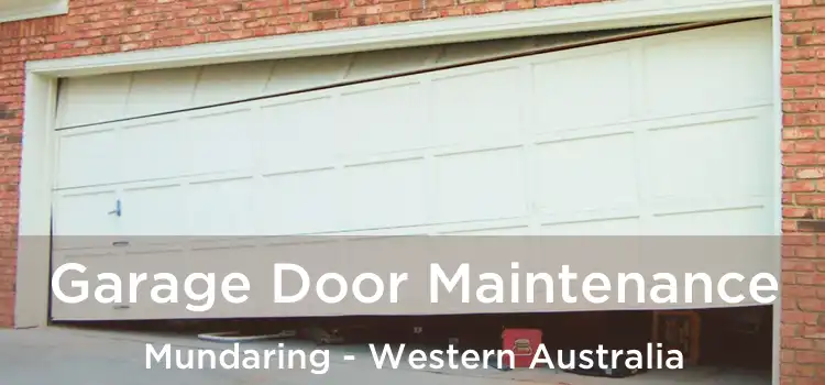 Garage Door Maintenance Mundaring - Western Australia
