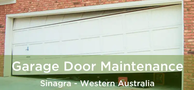 Garage Door Maintenance Sinagra - Western Australia