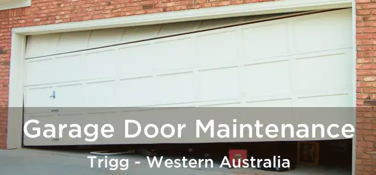 Garage Door Maintenance Trigg - Western Australia