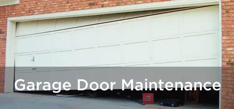 Garage Door Maintenance 