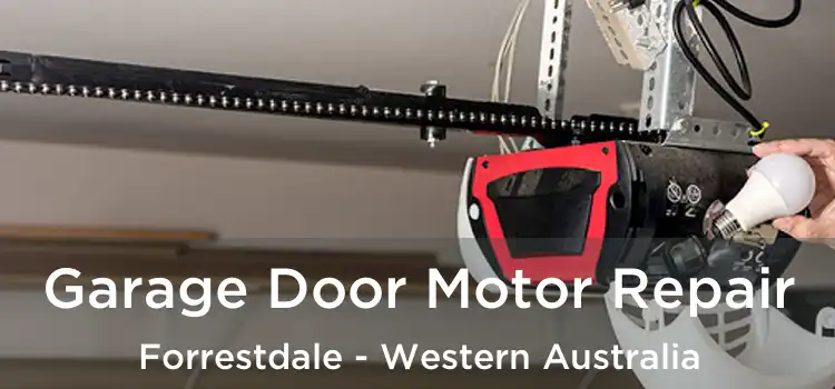 Garage Door Motor Repair Forrestdale - Western Australia