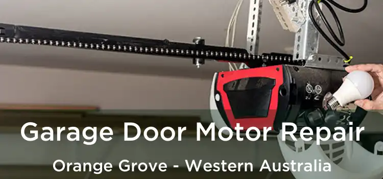 Garage Door Motor Repair Orange Grove - Western Australia
