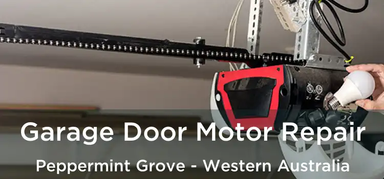 Garage Door Motor Repair Peppermint Grove - Western Australia