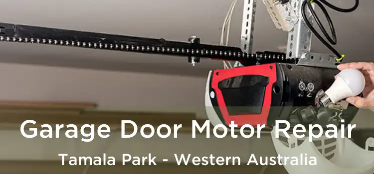Garage Door Motor Repair Tamala Park - Western Australia