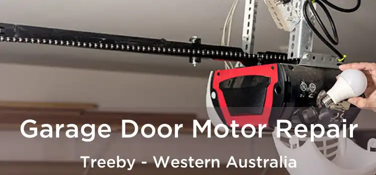 Garage Door Motor Repair Treeby - Western Australia