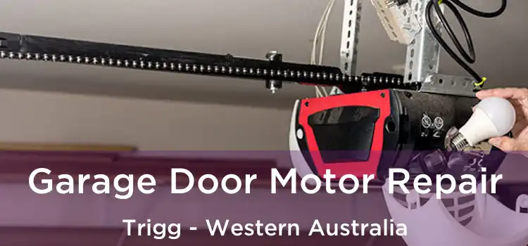 Garage Door Motor Repair Trigg - Western Australia