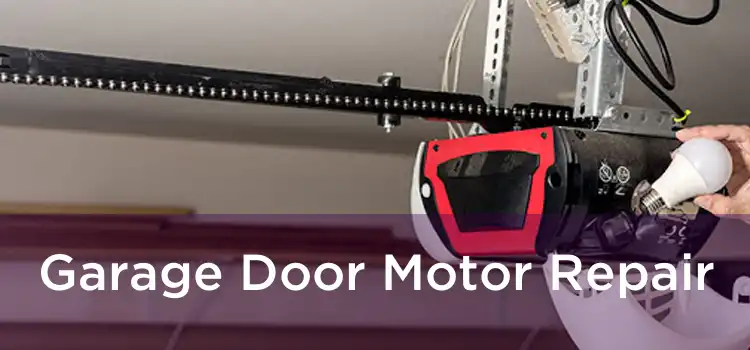 Garage Door Motor Repair 