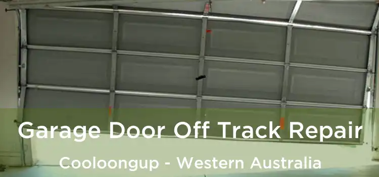 Garage Door Off Track Repair Cooloongup - Western Australia