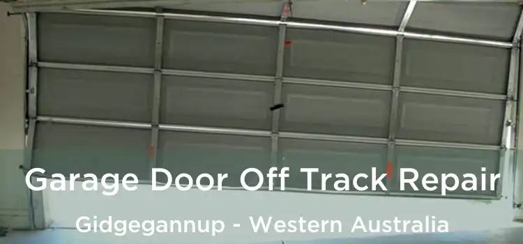 Garage Door Off Track Repair Gidgegannup - Western Australia