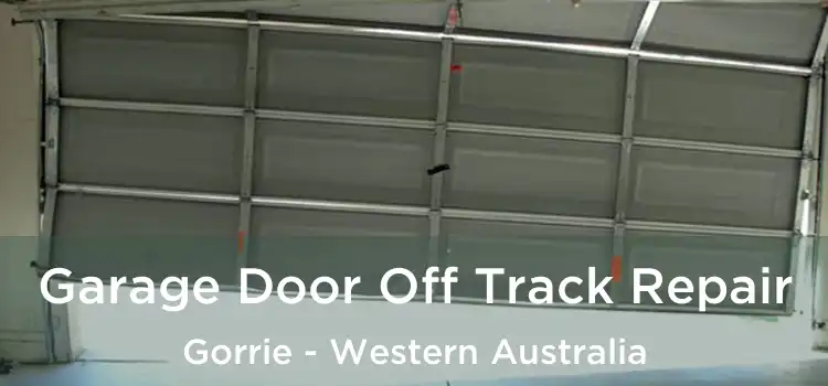 Garage Door Off Track Repair Gorrie - Western Australia