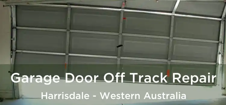 Garage Door Off Track Repair Harrisdale - Western Australia