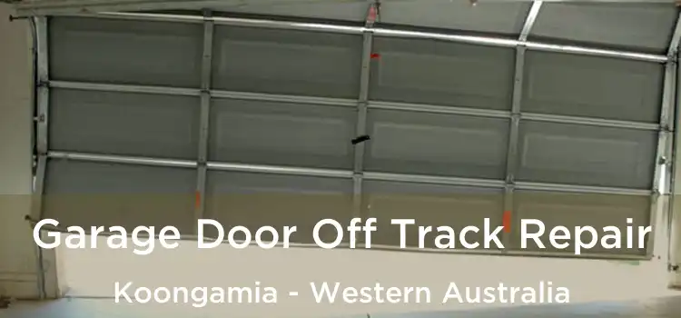 Garage Door Off Track Repair Koongamia - Western Australia