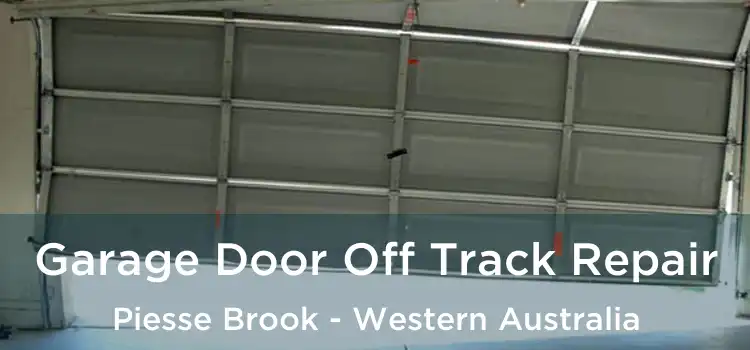 Garage Door Off Track Repair Piesse Brook - Western Australia