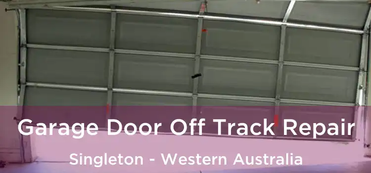 Garage Door Off Track Repair Singleton - Western Australia