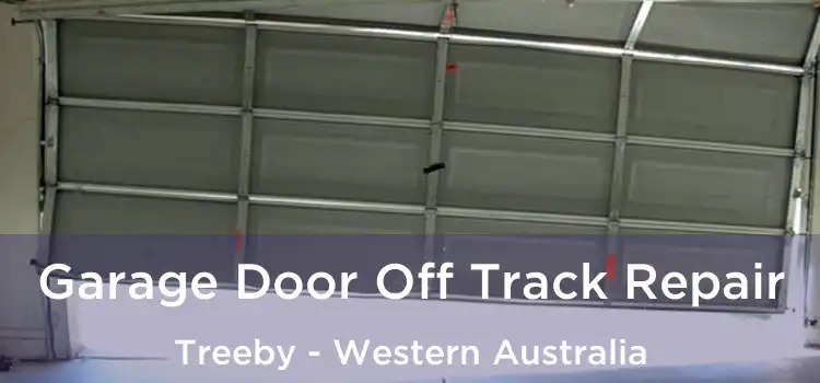 Garage Door Off Track Repair Treeby - Western Australia