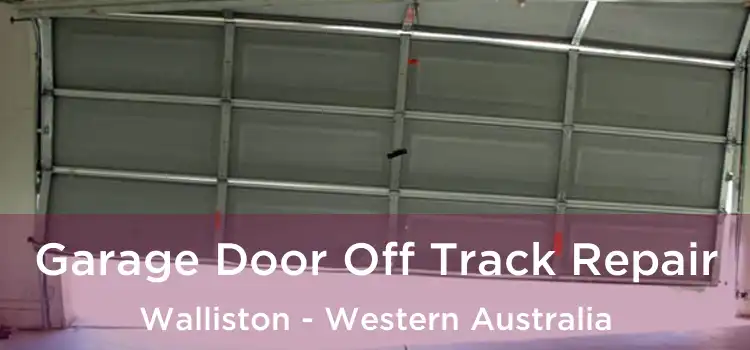 Garage Door Off Track Repair Walliston - Western Australia