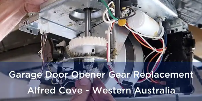 Garage Door Opener Gear Replacement Alfred Cove - Western Australia
